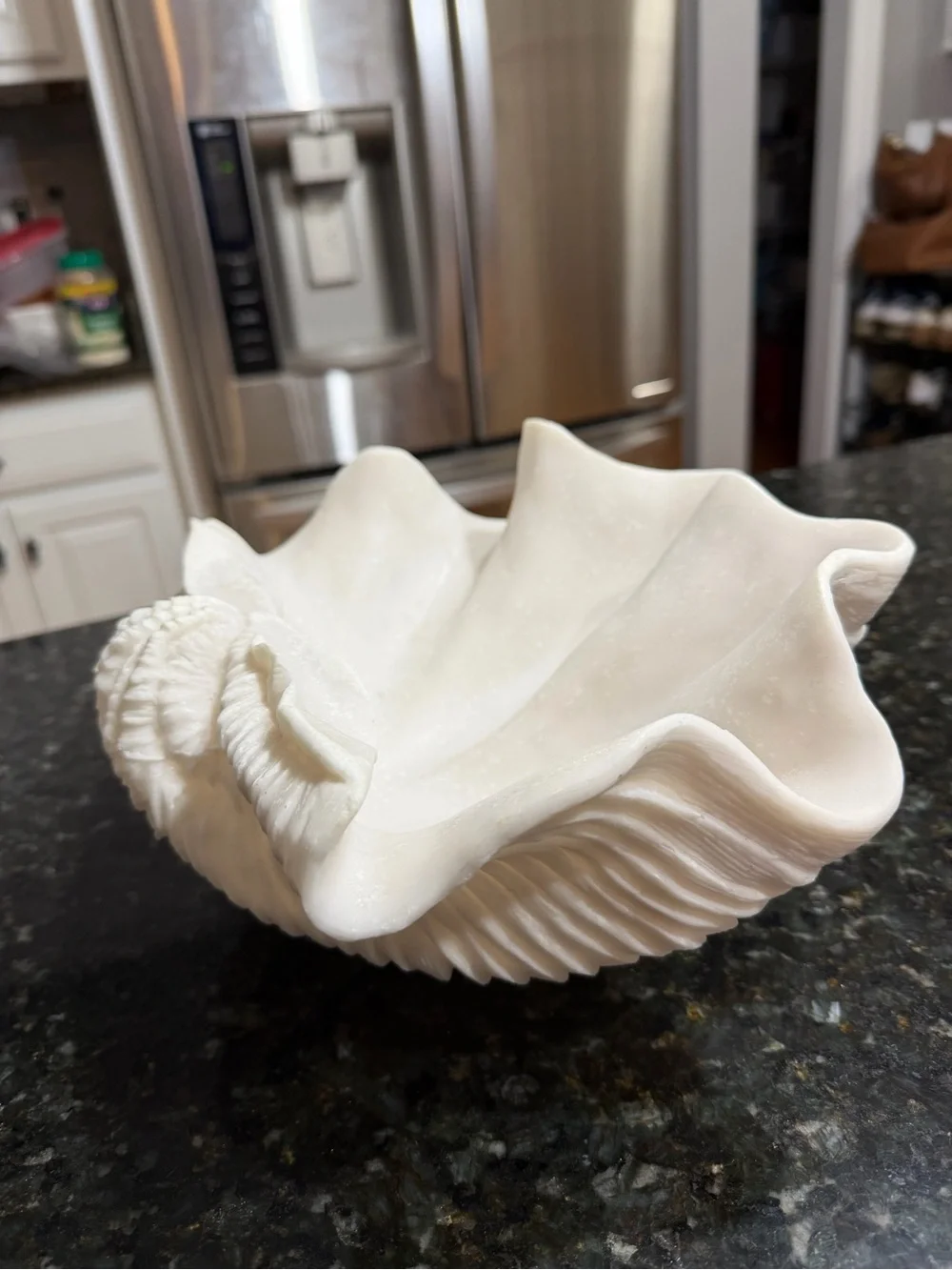 Sculptural White Giant Clam Shell Decorative Bowl Coastal Decor